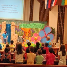 VBS 2014 - Weird Animals