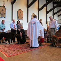 The Feast of St Francis