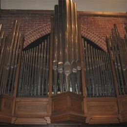 The Organ