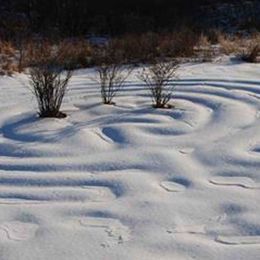 Labyrinth in winter