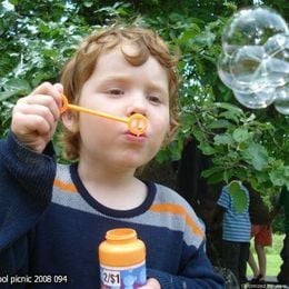 Sunday School picnic