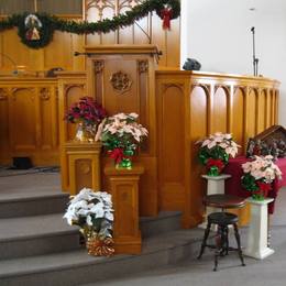 St. Paul's decorated for Christmas