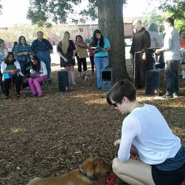 Blessing of the Animals 2013