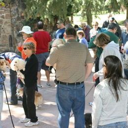 Pet Blessing 2013