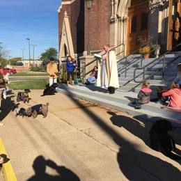 Blessing of the Animals 2015