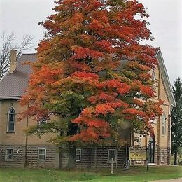 Cavan United Church, Seaforth, Ontario, Canada