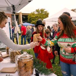 Palmcroft Christmas Festival 2022