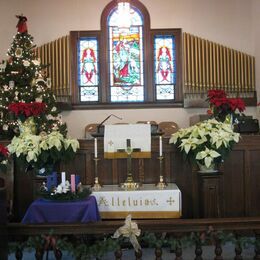 The sanctuary decorated for Christmas