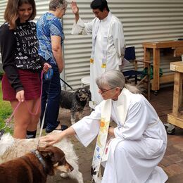 Animal Blessing at Kent River Studio October 2019