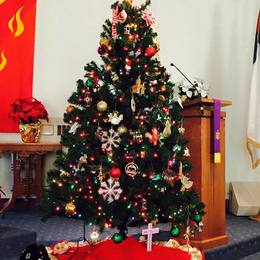 A beautiful tree to celebrate a beautiful season - at Central Barren United Methodist Church