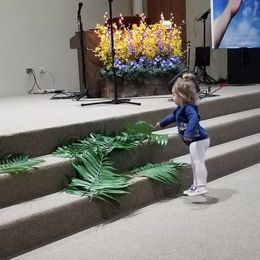 Palm Sunday 2019