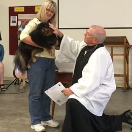 Blessing of the animals